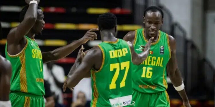 Basket / Qualifications Mondial 2027 : Les Lions affrontent l’Égypte à la Dakar Arena