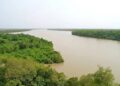 Fleuve Gambie : le niveau de l’eau baisse à Kédougou, mais reste sous le seuil d’alerte