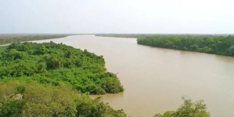 Fleuve Gambie : le niveau de l’eau baisse à Kédougou, mais reste sous le seuil d’alerte
