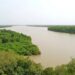 Fleuve Gambie : le niveau de l’eau baisse à Kédougou, mais reste sous le seuil d’alerte