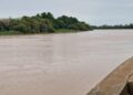 Fleuve Gambie : le niveau d’eau poursuit sa baisse à Kédougou, malgré des hausses enregistrées sur plusieurs stations