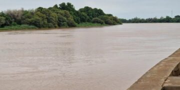 Fleuve Gambie : le niveau d’eau poursuit sa baisse à Kédougou, malgré des hausses enregistrées sur plusieurs stations