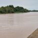 Fleuve Gambie : le niveau d’eau poursuit sa baisse à Kédougou, malgré des hausses enregistrées sur plusieurs stations